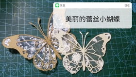 Cameo4自动迅边机与自动卧式开箱机联合开箱体验